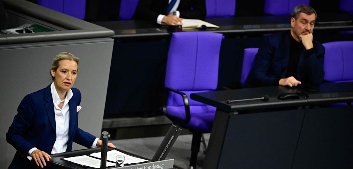 Union und AfD laut Insa-Umfrage im Gleichschritt