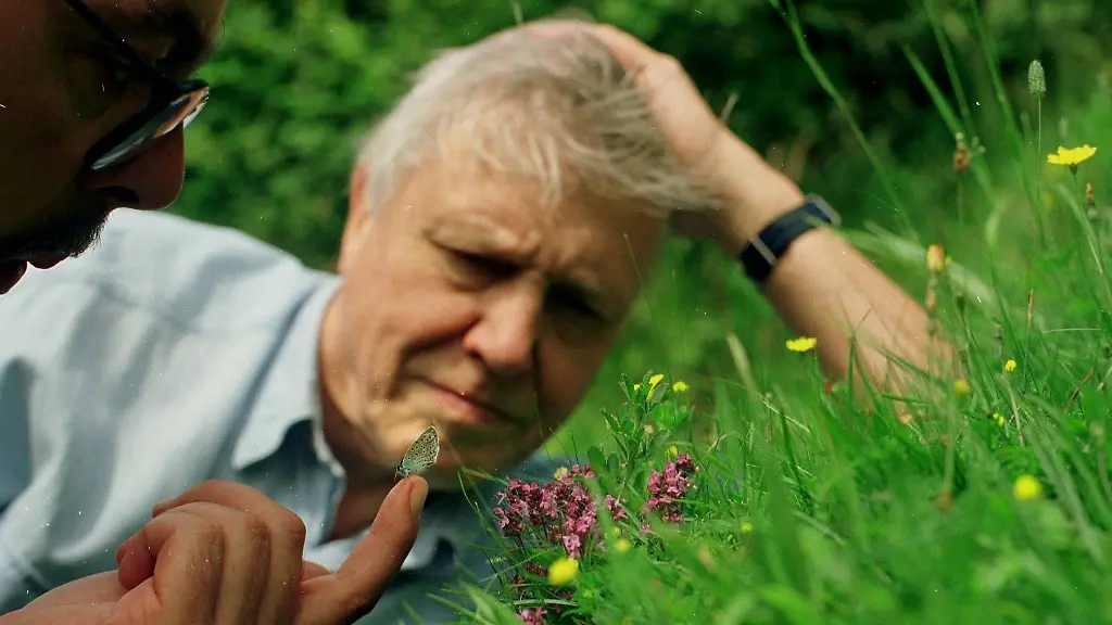 David Attenborough: Eine beispiellose Karriere