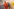 Ebola-Patient in Berlin: Behandlung in der Charité