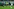 VfL Wolfsburg: Ursachen des Abstiegs und Ausblick
