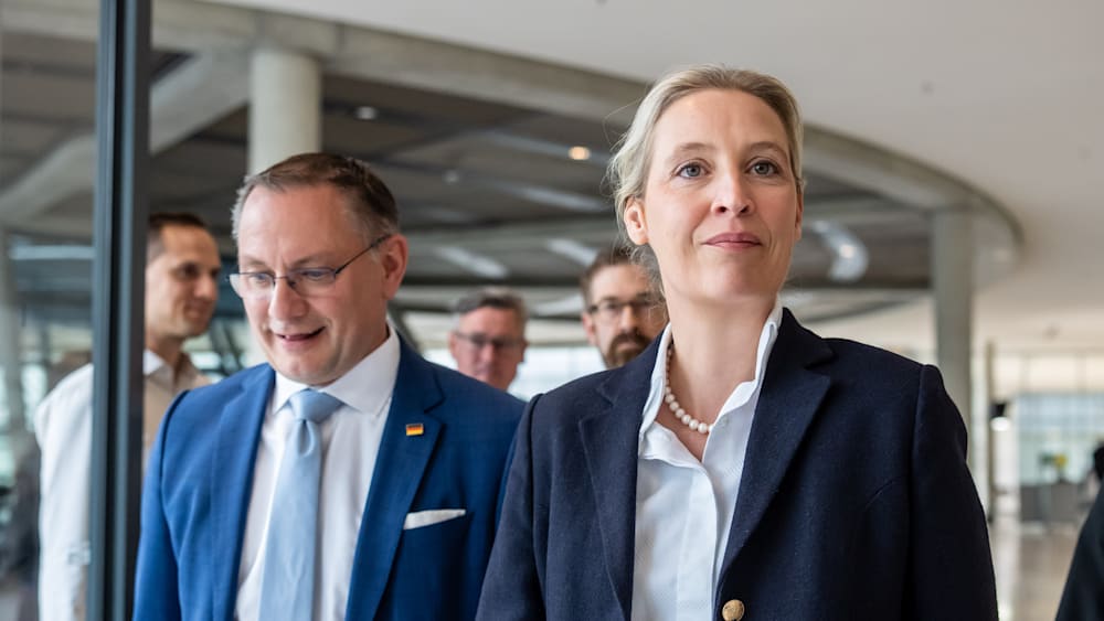 AfD-Umfragewerte und deren Auswirkungen
