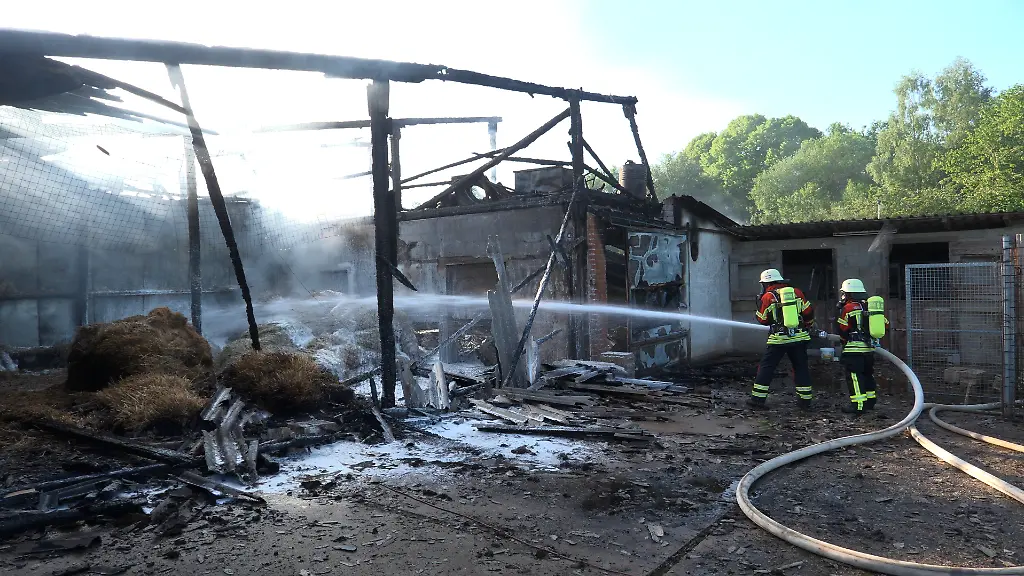 Großbrand auf Geflügelhof im Saarland: Tausende Hühner verendet