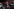 Wolfgang Kubicki: Der umstrittene FDP-Vorsitzende