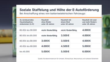Neue Zuschüsse für den Kauf von E-Autos