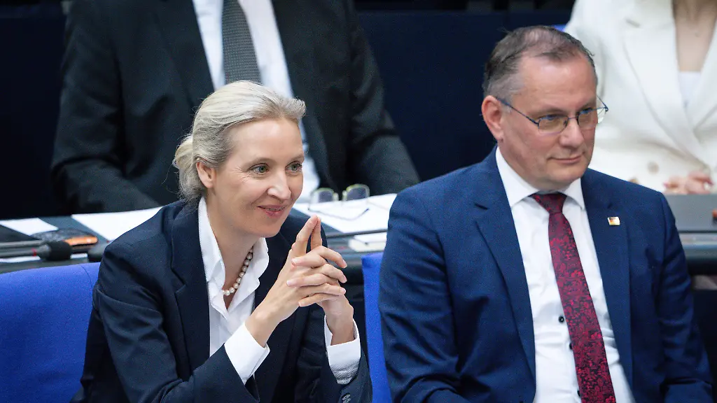 AfD bleibt führend in aktuellen Umfragen