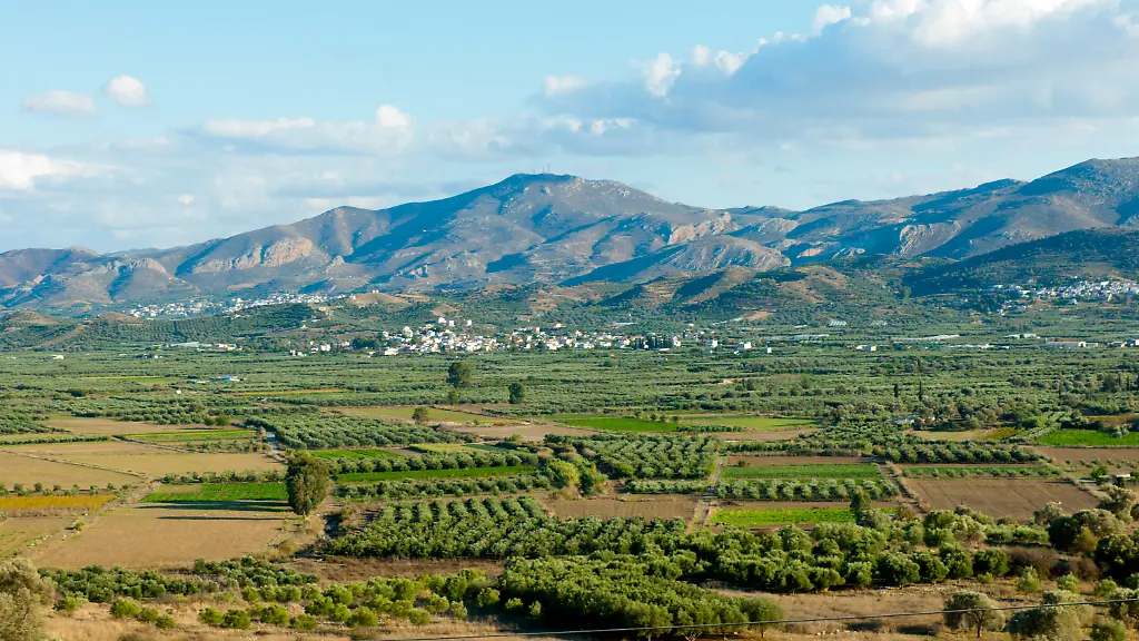 Festnahmen wegen EU-Agrarsubventionsbetrug auf Kreta