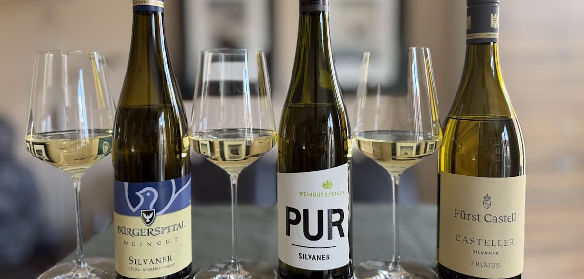 Silvaner im Test – Hervorragende Weißweine im Vergleich