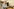Repaircafé in Bremen: Karem Hasan macht Dinge wieder heil
