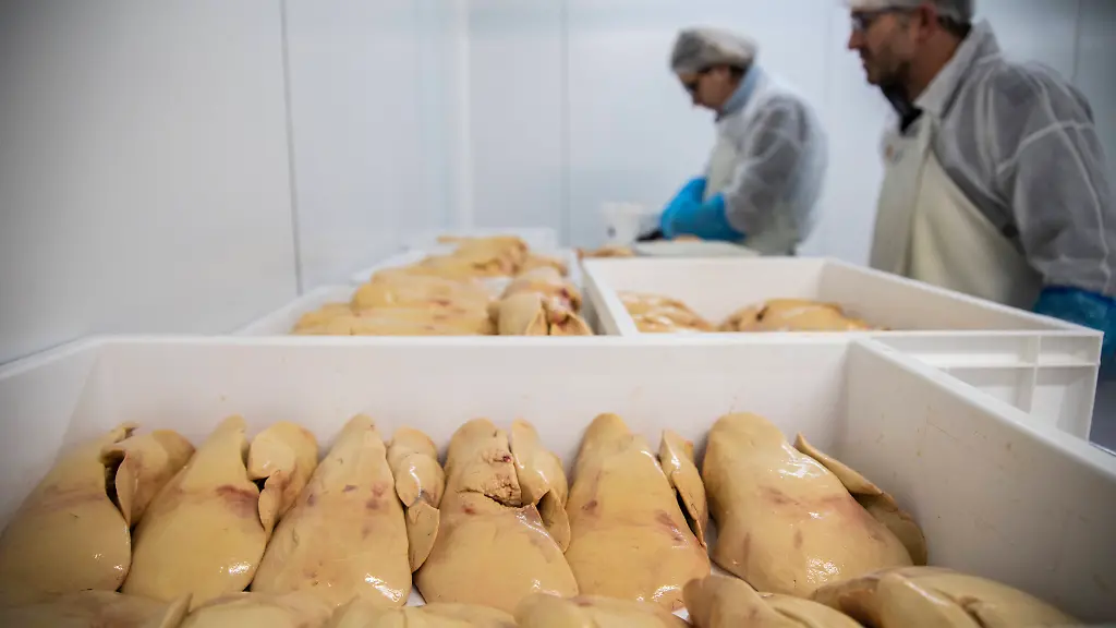 Chinas Fortschritt in der Stopfleberproduktion