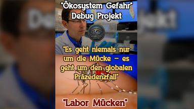 Google startet Projekt zur Mückenbekämpfung mit Wolbachia-Bakterien