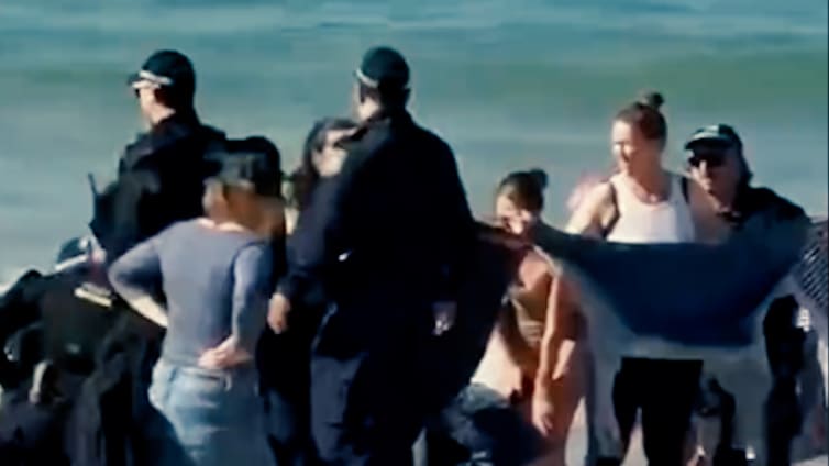 Drama in Sydney: Haiangriffe auf Schwimmer nehmen zu