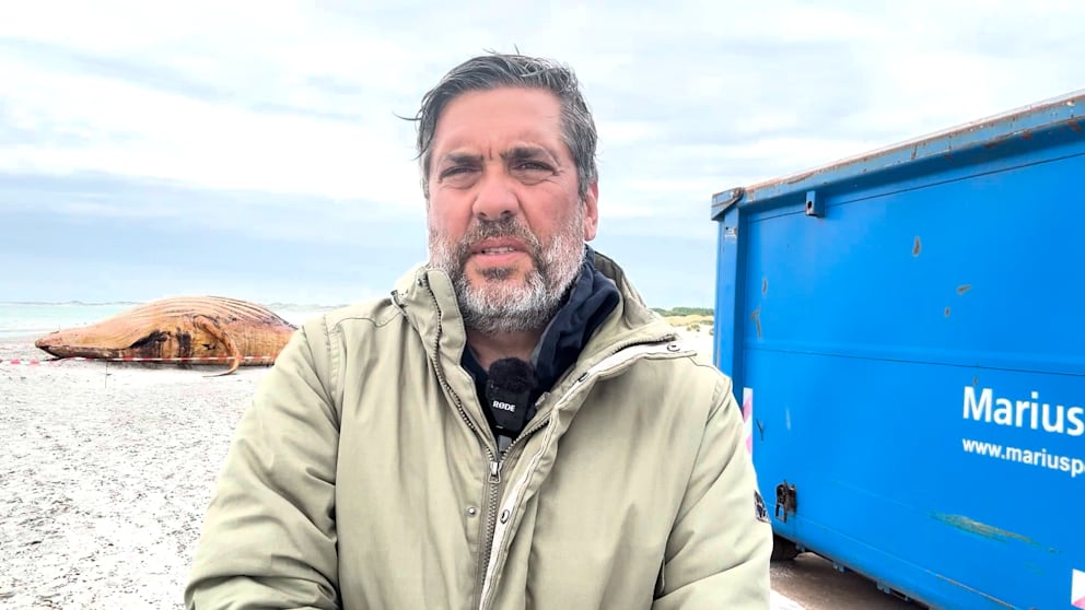 Bericht zur bevorstehenden Obduktion von Timmy auf der Insel Anholt