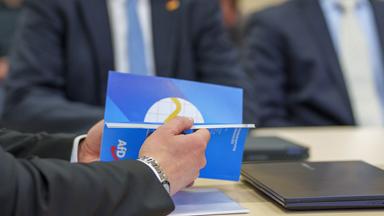 Gericht entscheidet über Beobachtung der AfD Hessen durch Verfassungsschutz