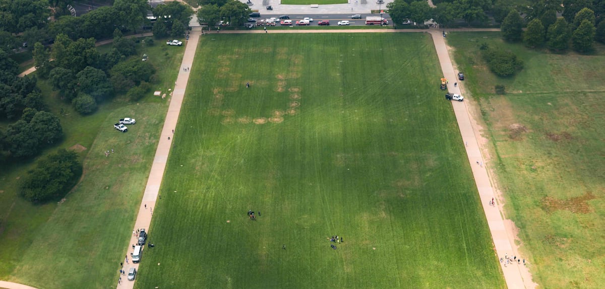 Großer Anti-Trump-Slogan auf der National Mall