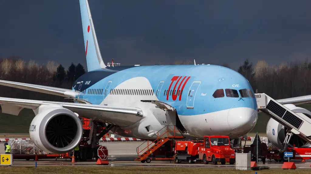 Schlange legt Flugzeug lahm