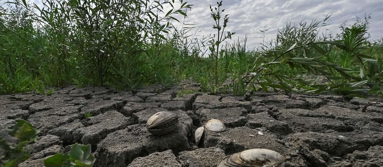 Ehemaliger Kachowka-Staudamm in der Ukraine: Auswirkungen der Sprengung