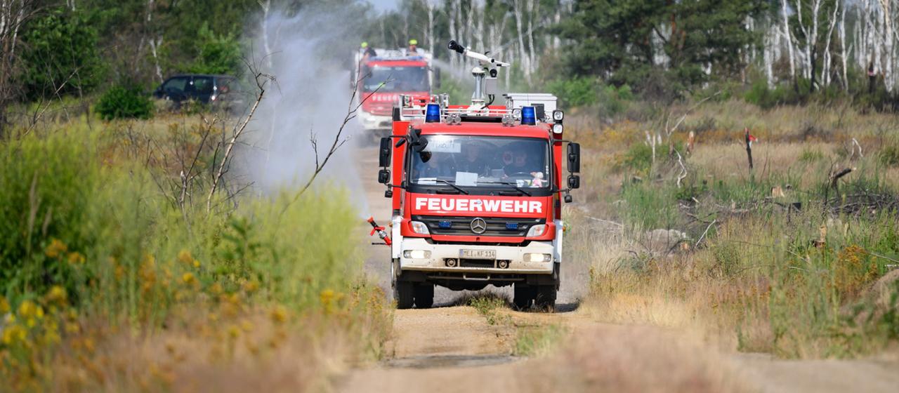 Waldbrände in Deutschland: Herausforderungen und Maßnahmen