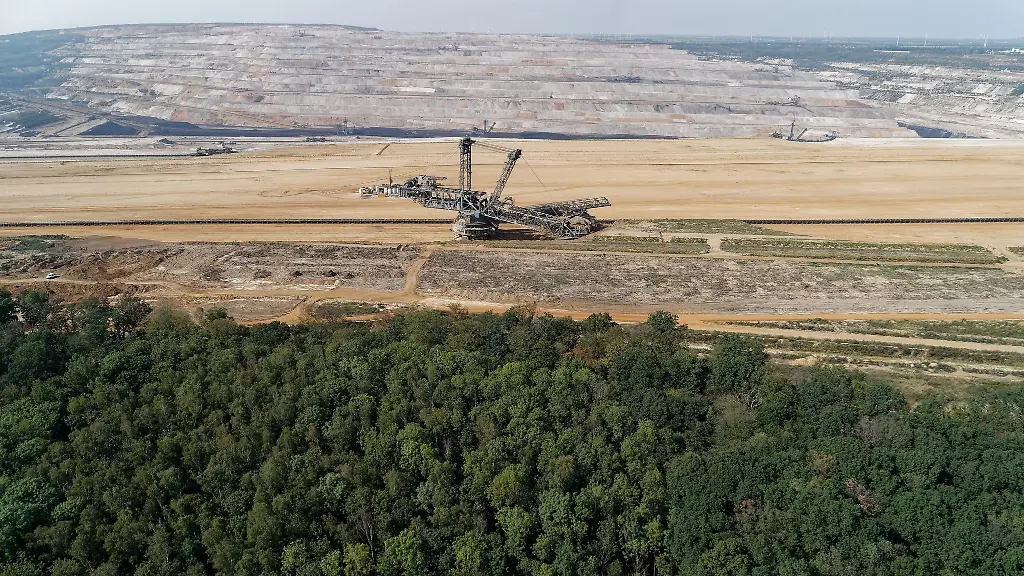 Hambacher Wald wird zum Wildnisgebiet erklärt