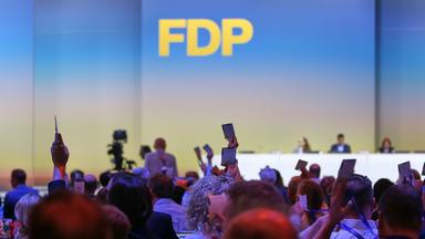 FDP gewinnt Mitglieder nach Führungswechsel
