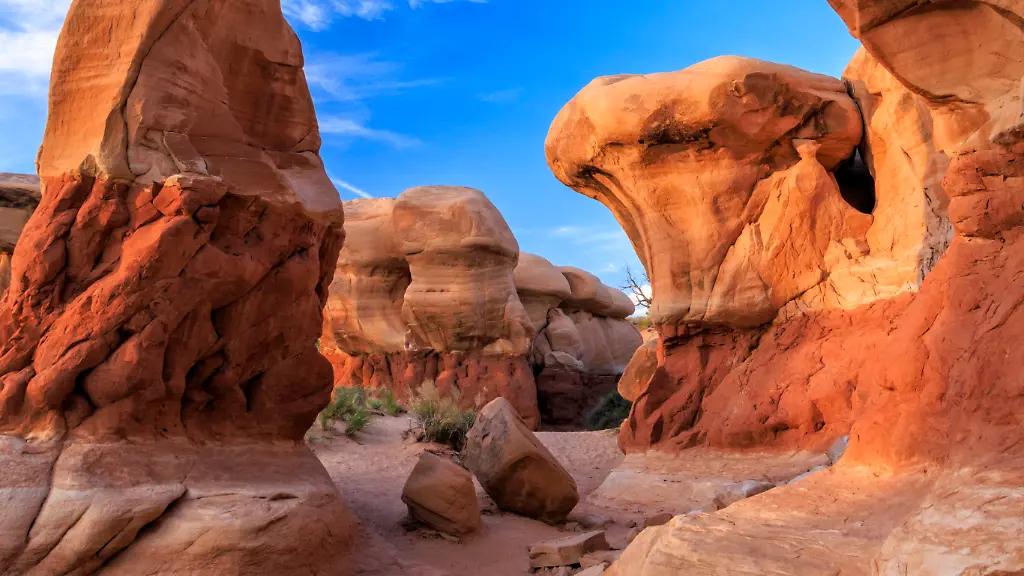 Trump reduziert US-Naturschutzgebiete massiv