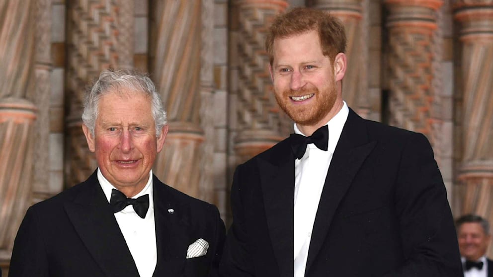 Fragen zur Beziehung zwischen Harry und König Charles