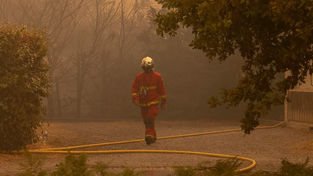 Grünen-Chefin drängt auf Klimaschutz angesichts Waldbränden
