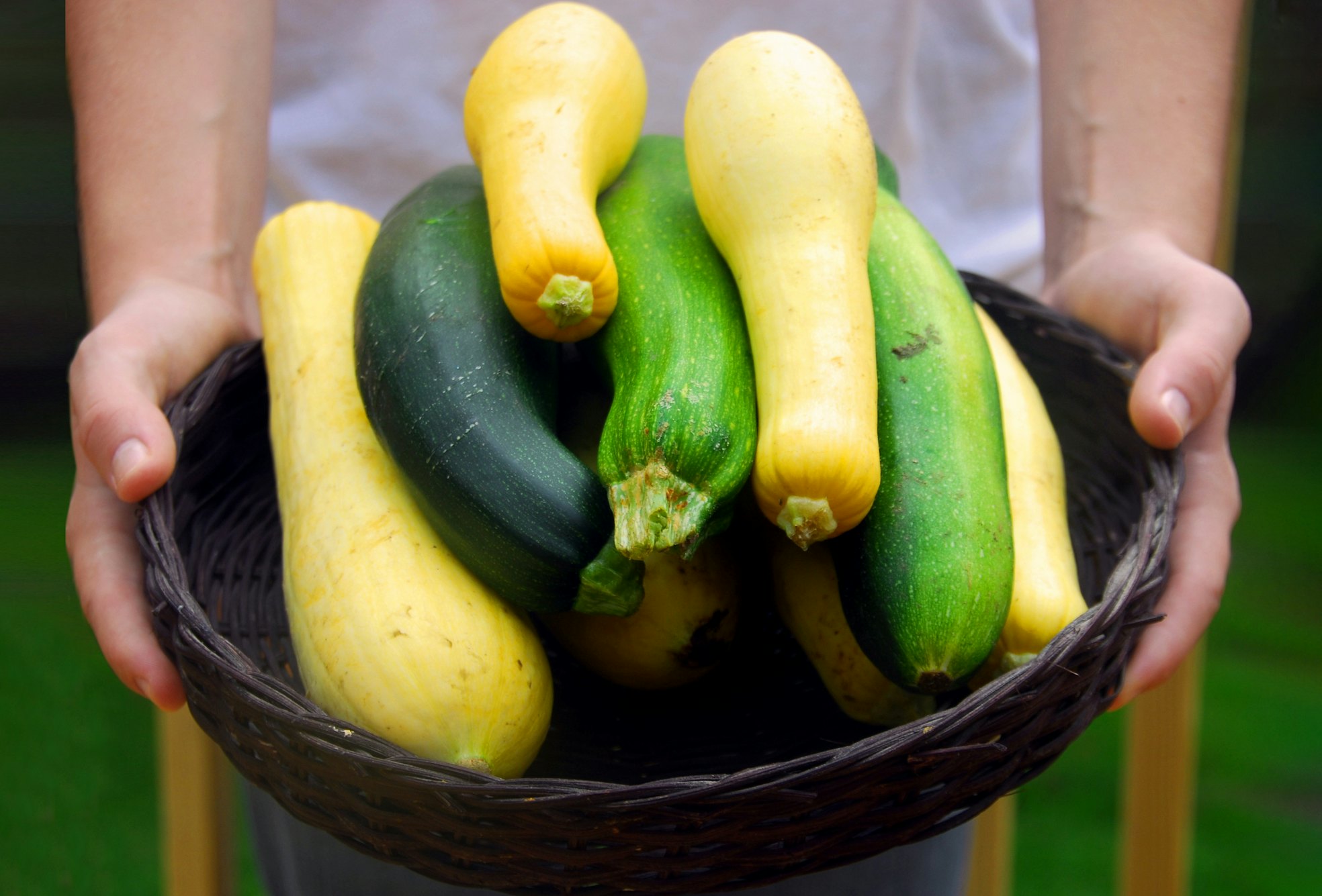 Was tun mit der Zucchinischwemme im Garten
