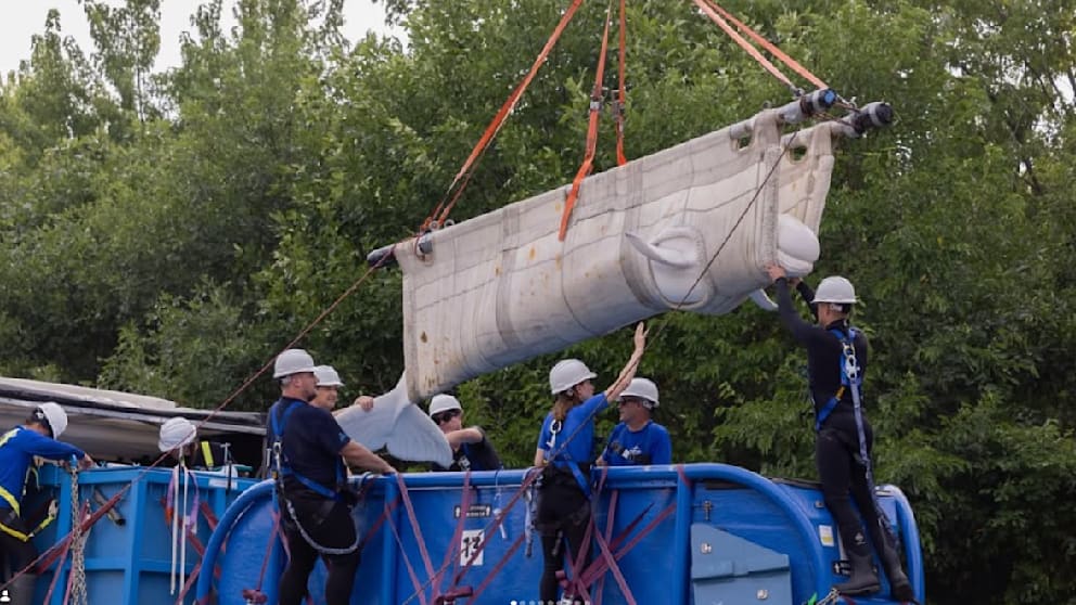 Rettung von Beluga-Walen aus umstrittenem Tierpark