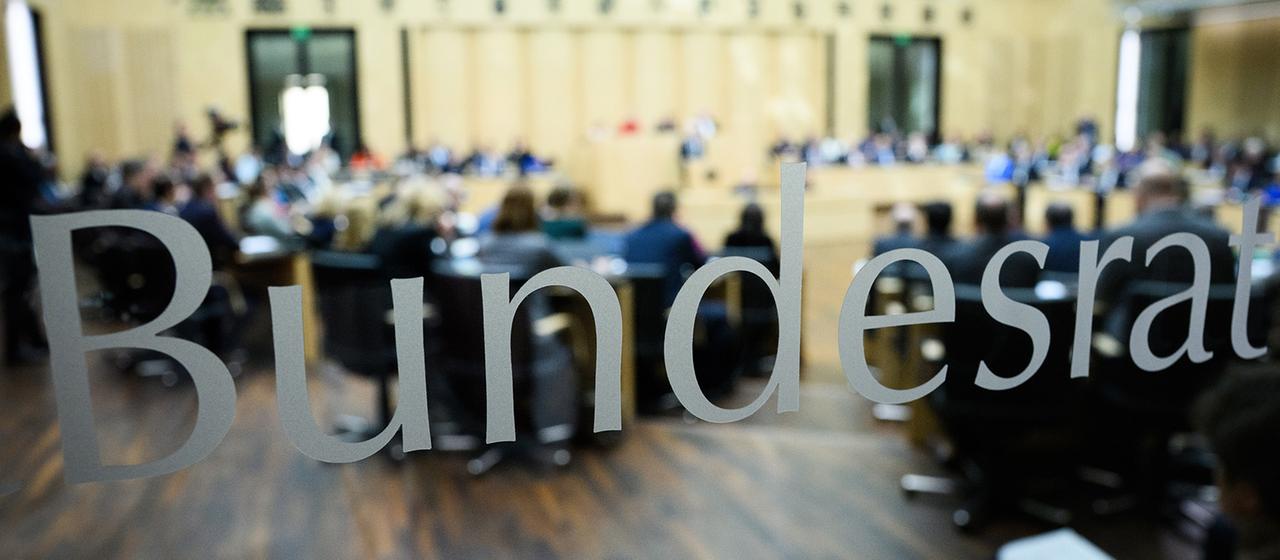Analyse der Möglichkeiten des Bundes bei Regierungsbildung der AfD