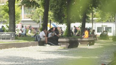 Hitzeproblematik in Mannheim und notwendige Anpassungen