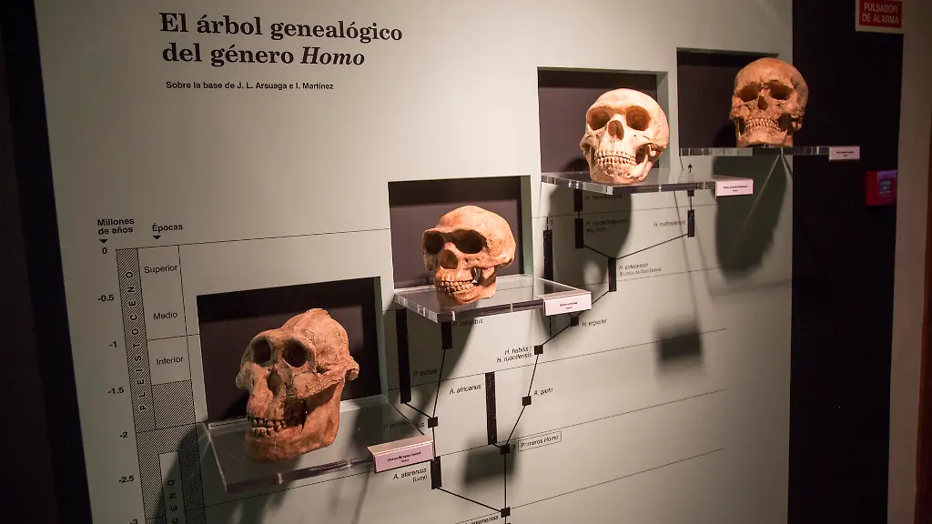 Spuren in unserer DNA entdeckt: Menschheit besitzt mindestens zwei mysteriöse Vorfahren