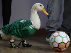 Alistair Johnston über Kanadas Fußball-Team bei der WM