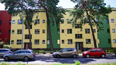 Die Waldsiedlung Zehlendorf wird UNESCO-Welterbe