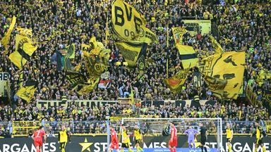 Rekordzahlen in der Bundesliga: Der deutsche Fußball boomt