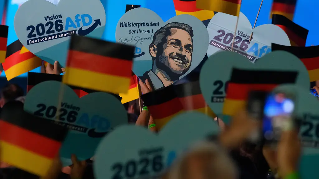 Wirtschaftsverbände Warnen Vor AfD-Plänen