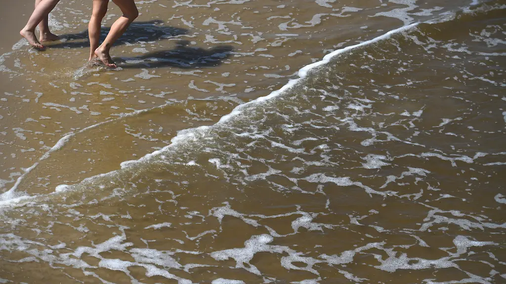 Gefährliche Vibrionen in der Ostsee