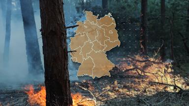 Trockenheit steigert Waldbrandgefahr in Deutschland