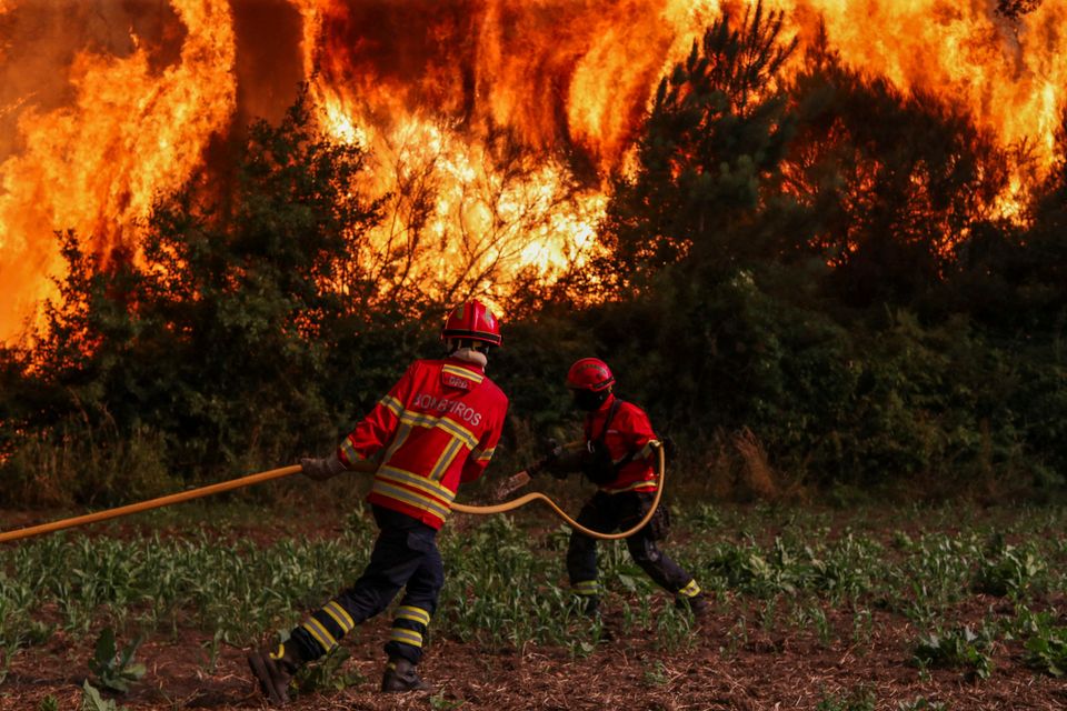 Feuergefahr in Europa: Eine Zunahme der Waldbrände