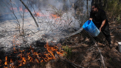 Waldbrände in Frankreich und Spanien: Aktuelle Lage und Maßnahmen