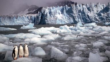 Rekordhitze und Klimamodelle: Ein Blick in die Zukunft des Klimawandels