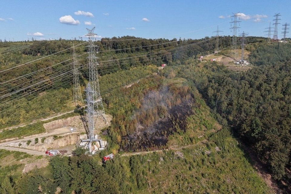 Waldbrände fordern Feuerwehr in mehreren Regionen
