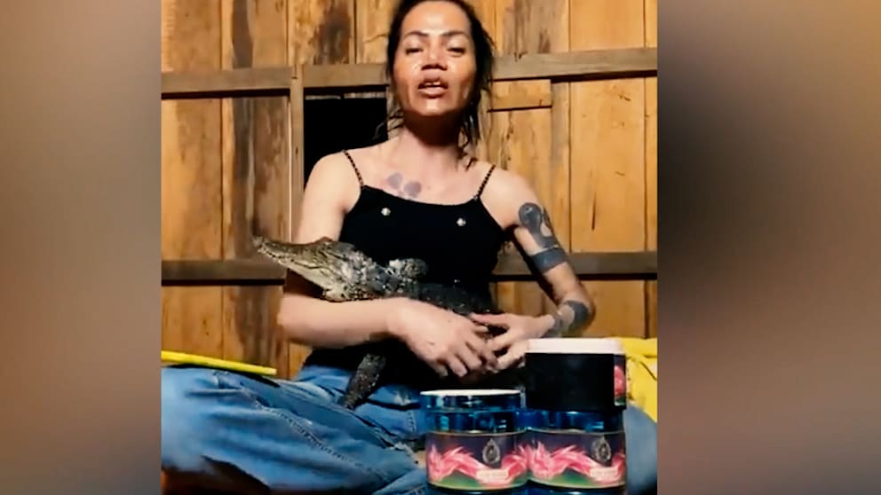 Tierschützer äußern Kritik nach Krokodil-Angriff im Livestream