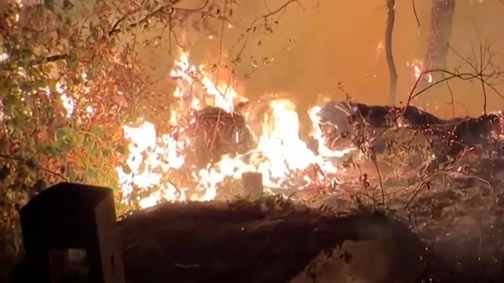 Großbrand im Wald von Fontainebleau bedroht Natur
