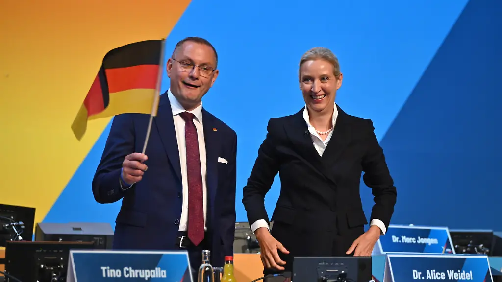 AfD Parteivorsitzende bestätigt