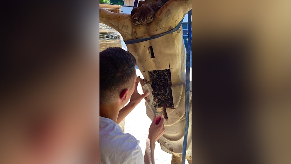 Bienenvolk besiedelt Jesus-Kruzifix in Niederbayern