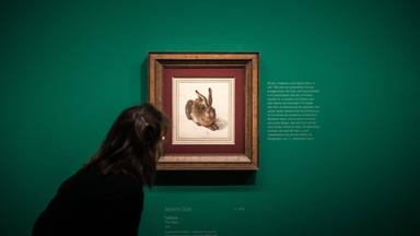Das MuseumsQuartier in Wien: Ein Zentrum der Kultur und Kunst