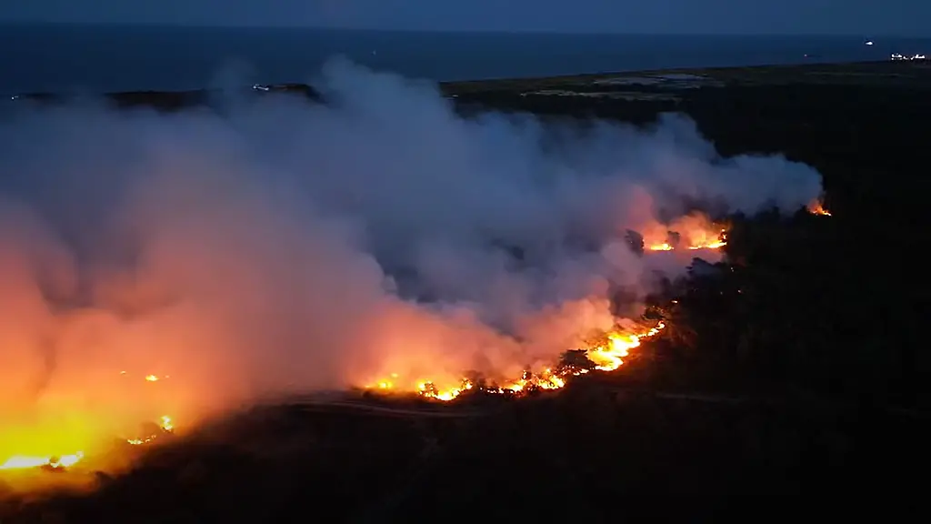 Waldbrand in England nahe Kernkraftwerk und Ferienpark