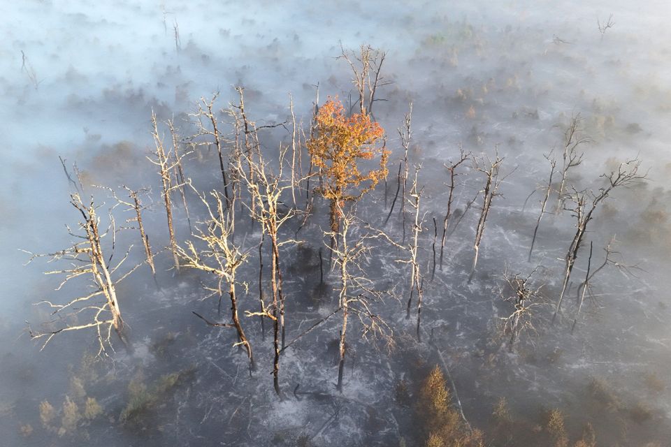 Die Gefahren von Rauch bei Waldbränden und Schutzmaßnahmen