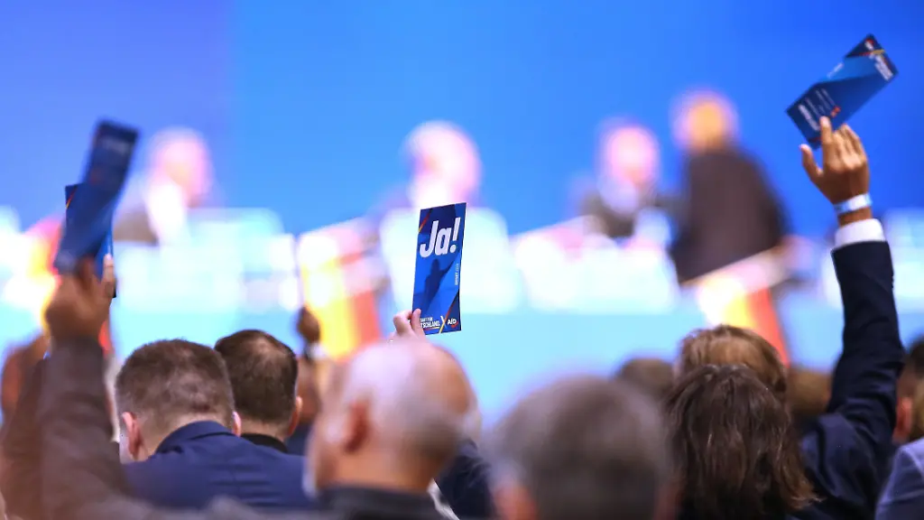 AfD-Parteitag in Erfurt: Proteste und interne Entscheidungen