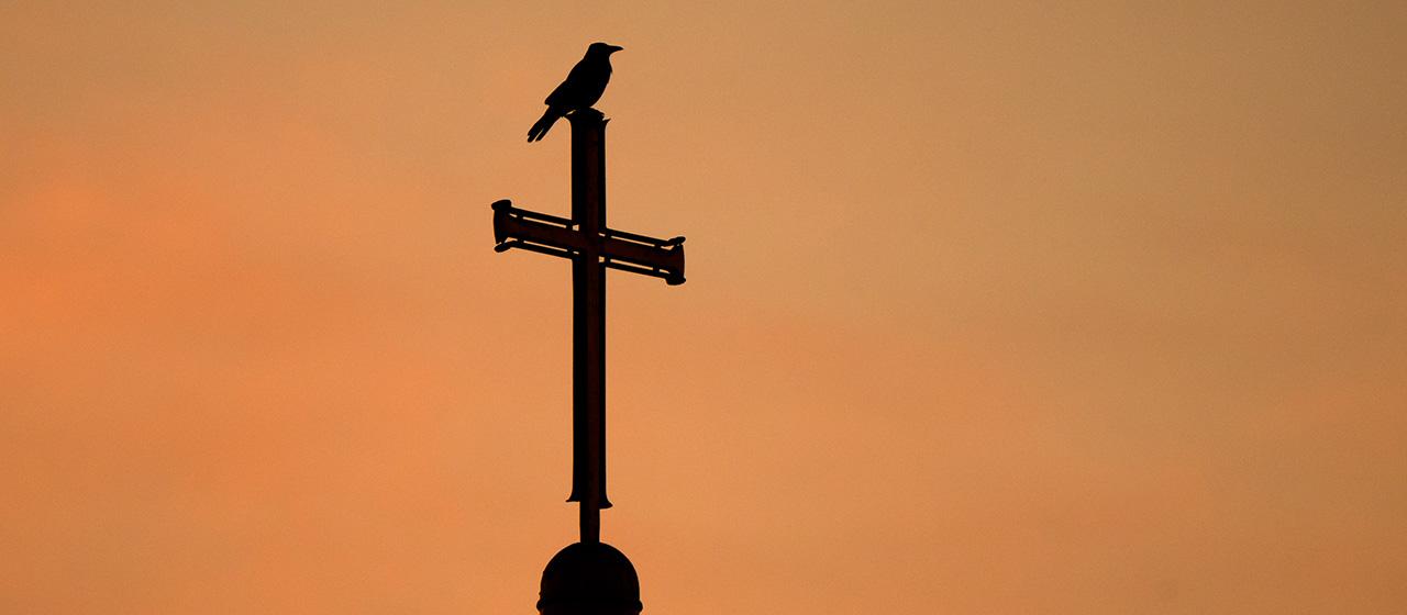 Fehlinvestitionen bei Kirchen und Institutionen in Veriusfonds